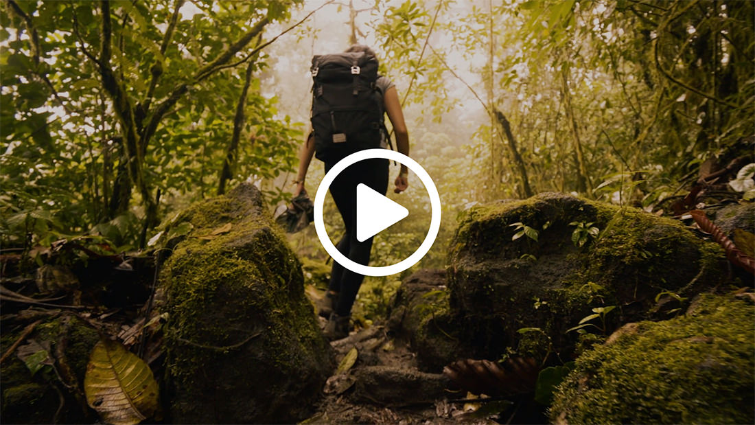 Vídeo Promocional – NPT